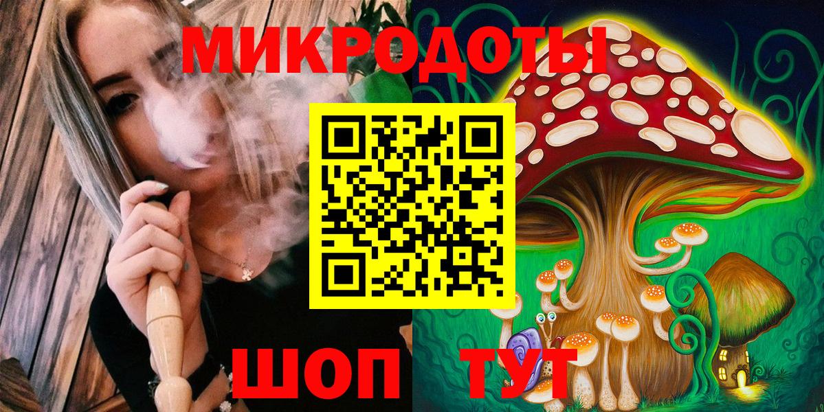 Галлюциногенные грибы Psilocybe Дивногорск
