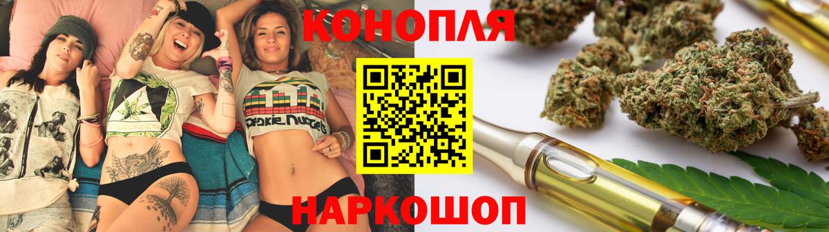 Бошки Шишки план Дивногорск